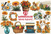 Spring Marigold Clipart Bundle 2