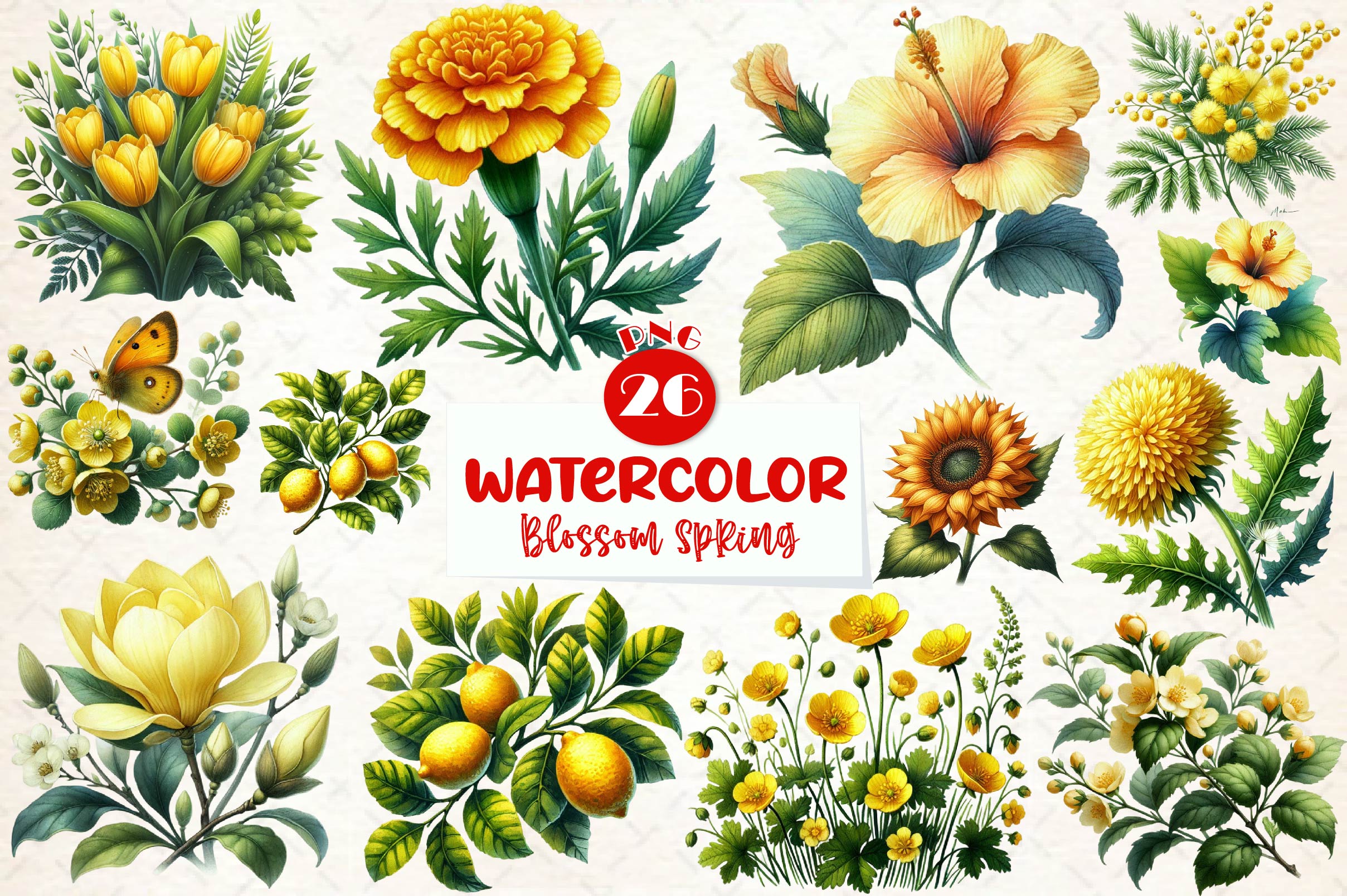 Blossom Spring Clipart Bundle 1