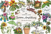 Botanical Summer Amphibians & Reptiles Clipart Bundle