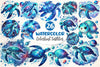 Celestial Turtles Clipart Bundle
