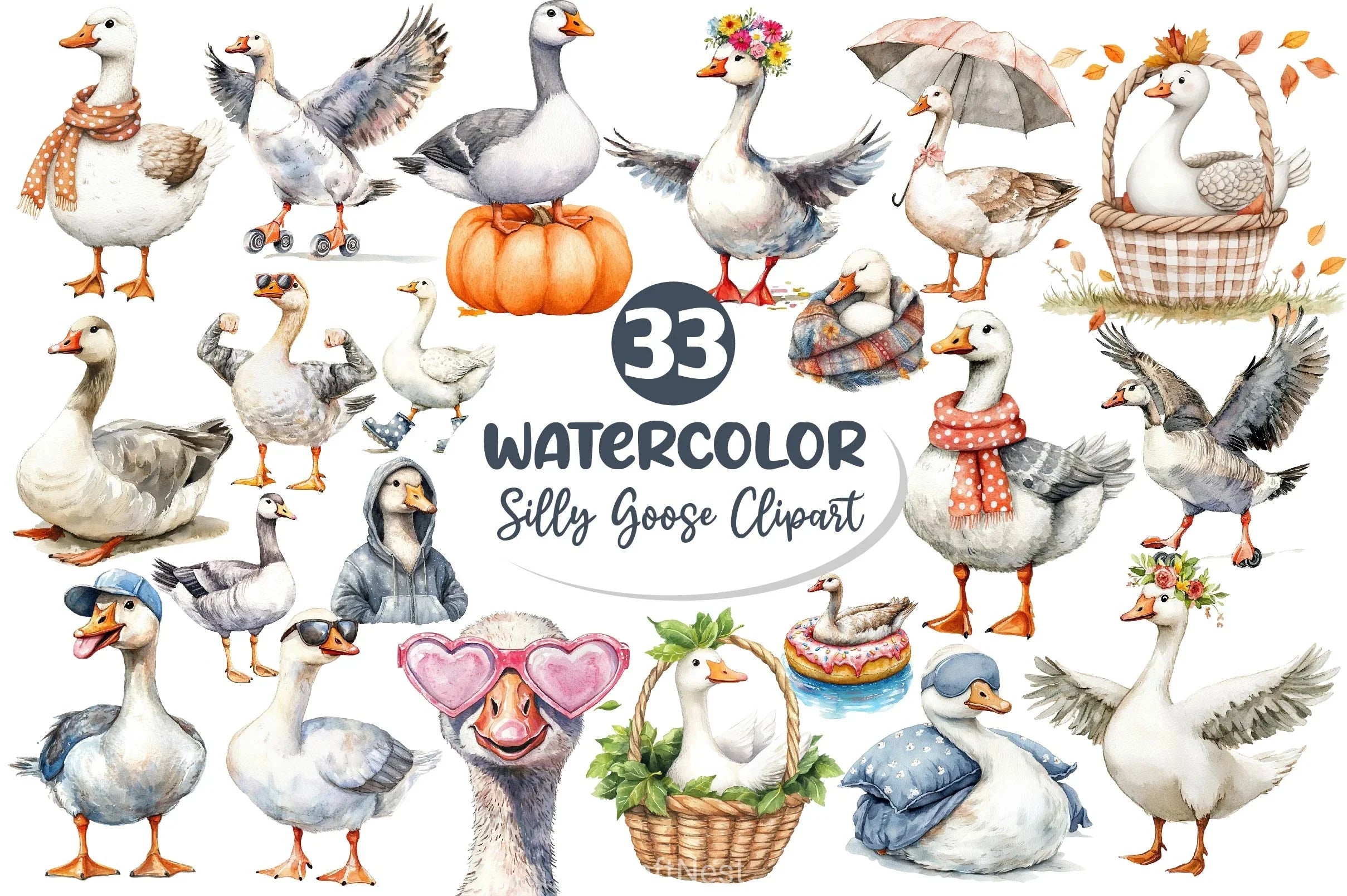 Silly Goose Clipart Bundle