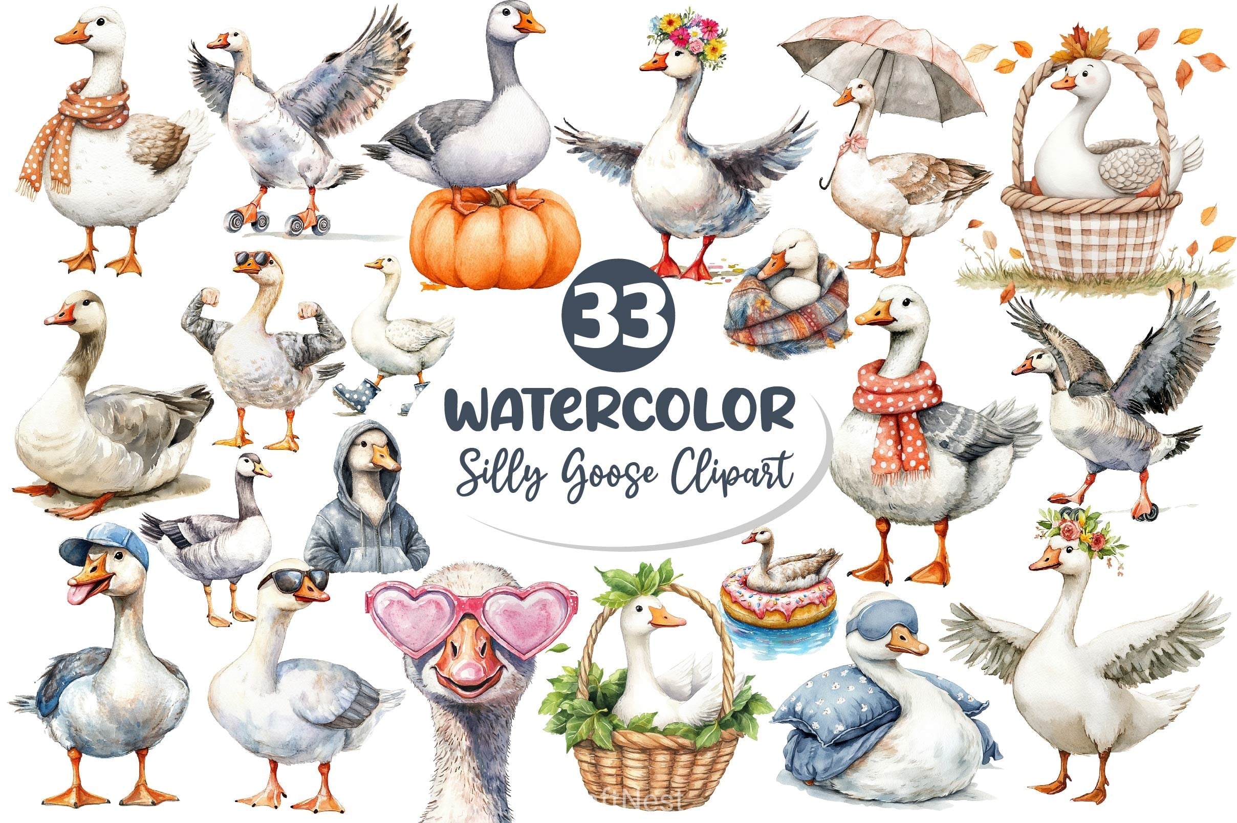 Silly Goose Clipart Bundle 4