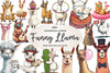 Quirky Funny Llama Clipart Bundle
