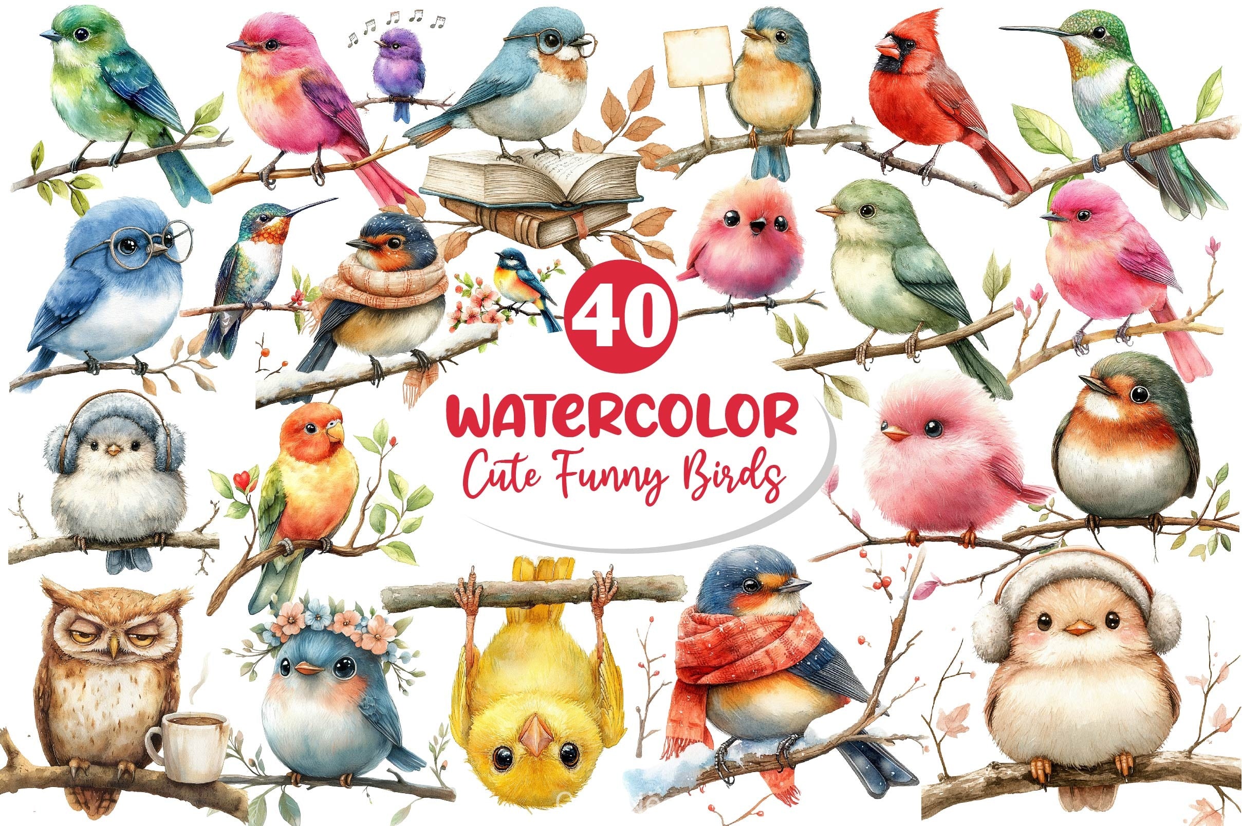 Cute Funny Birds Clipart Bundle