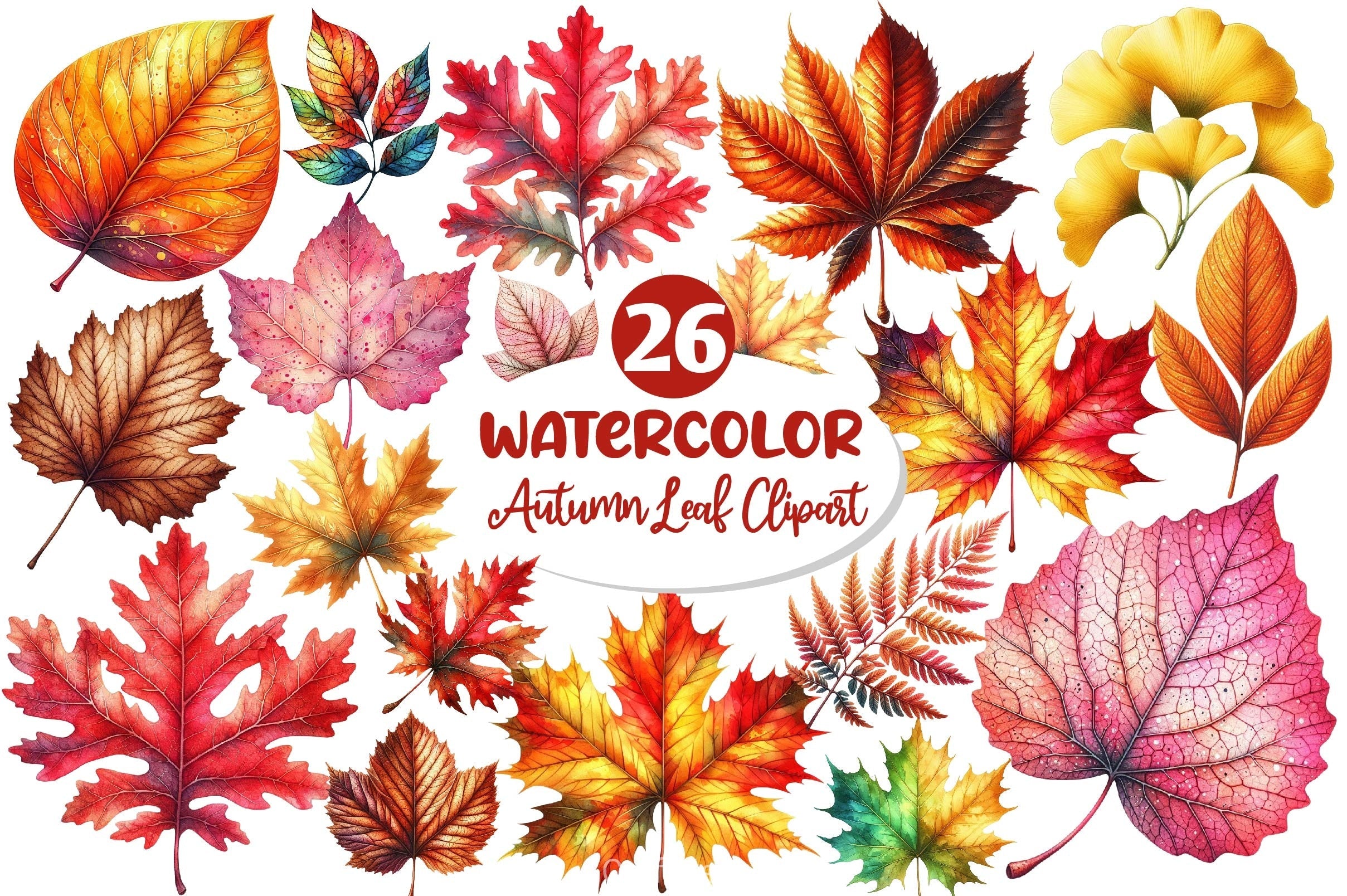 Autumn Leaf Clipart Bundle
