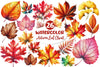Autumn Leaf Clipart Bundle