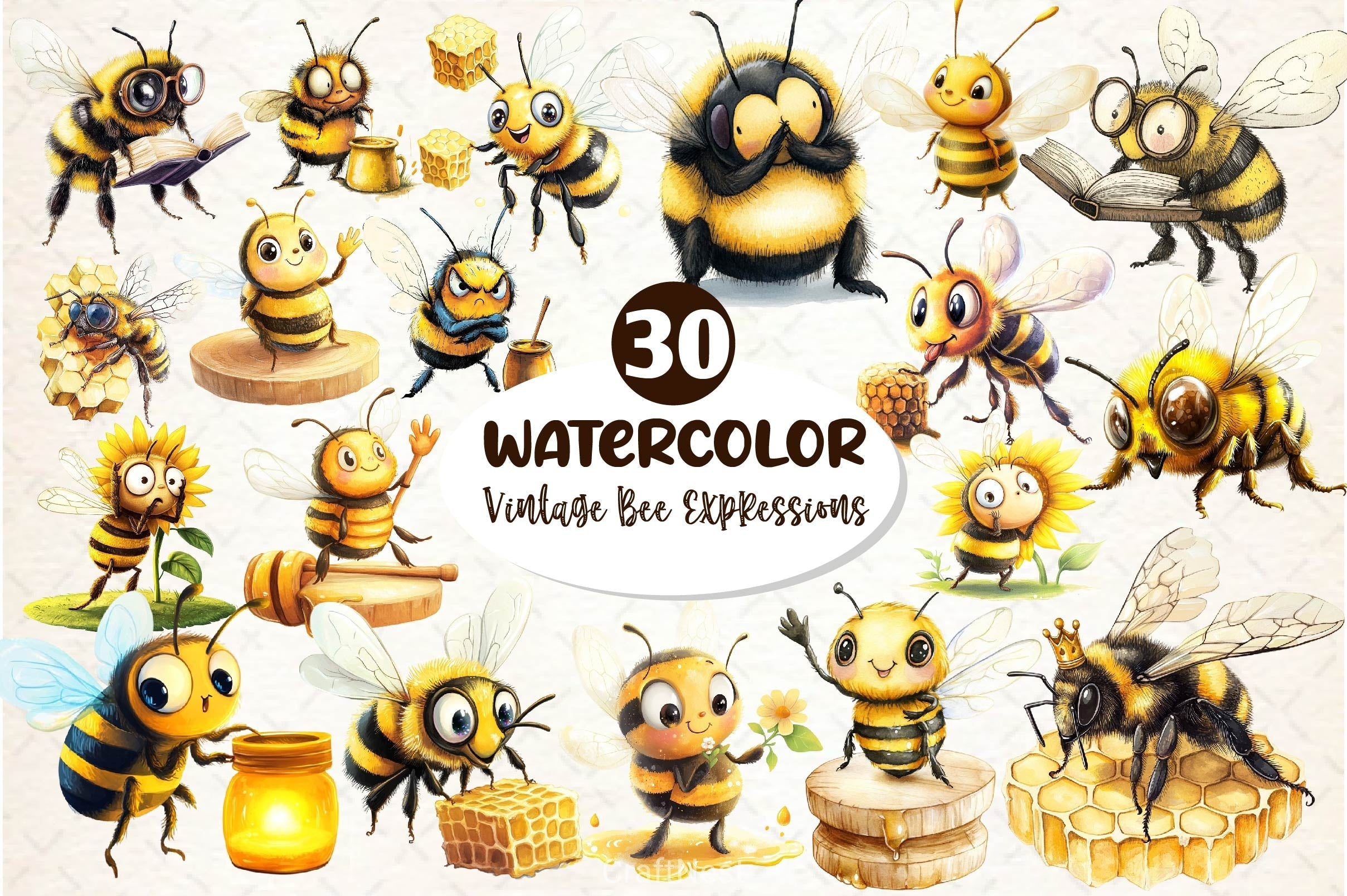 Vintage Bee Expressions Collection Clipart Bundle