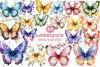 Spring Butterfly Clipart Bundle