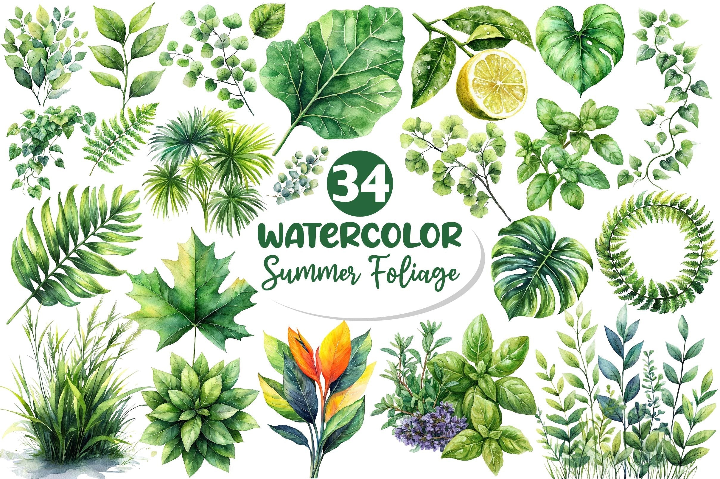 Green Summer Foliage Clipart Bundle 2