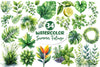 Green Summer Foliage Clipart Bundle 2