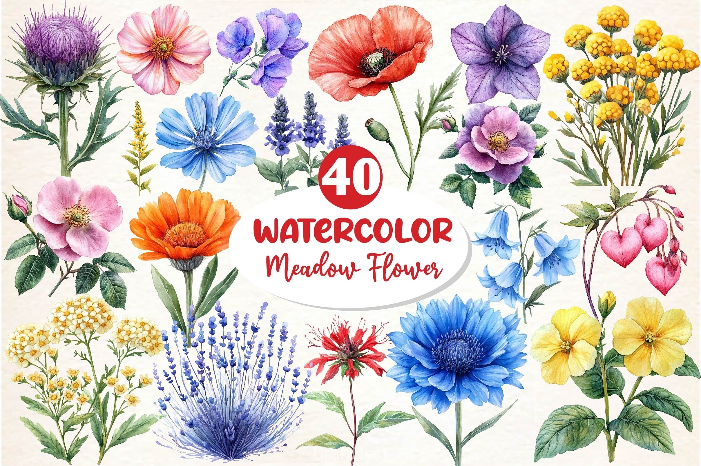 Colorful Meadow Flower Clipart Bundle