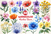 Colorful Meadow Flower Clipart Bundle
