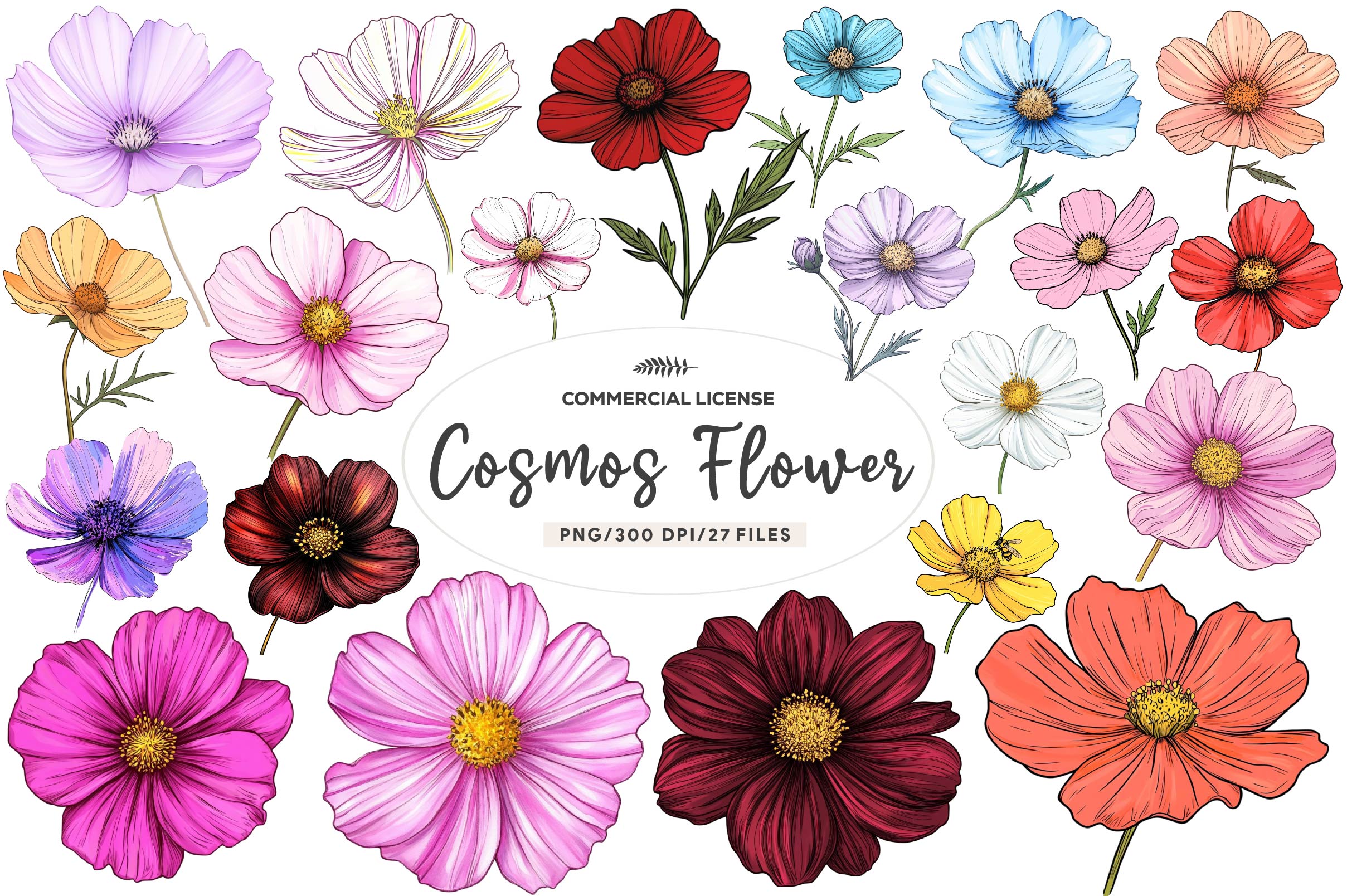 Cosmos Flower Bloom Clipart Bundle