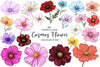 Cosmos Flower Bloom Clipart Bundle