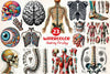 Antique Anatomy Overlays Clipart Bundle