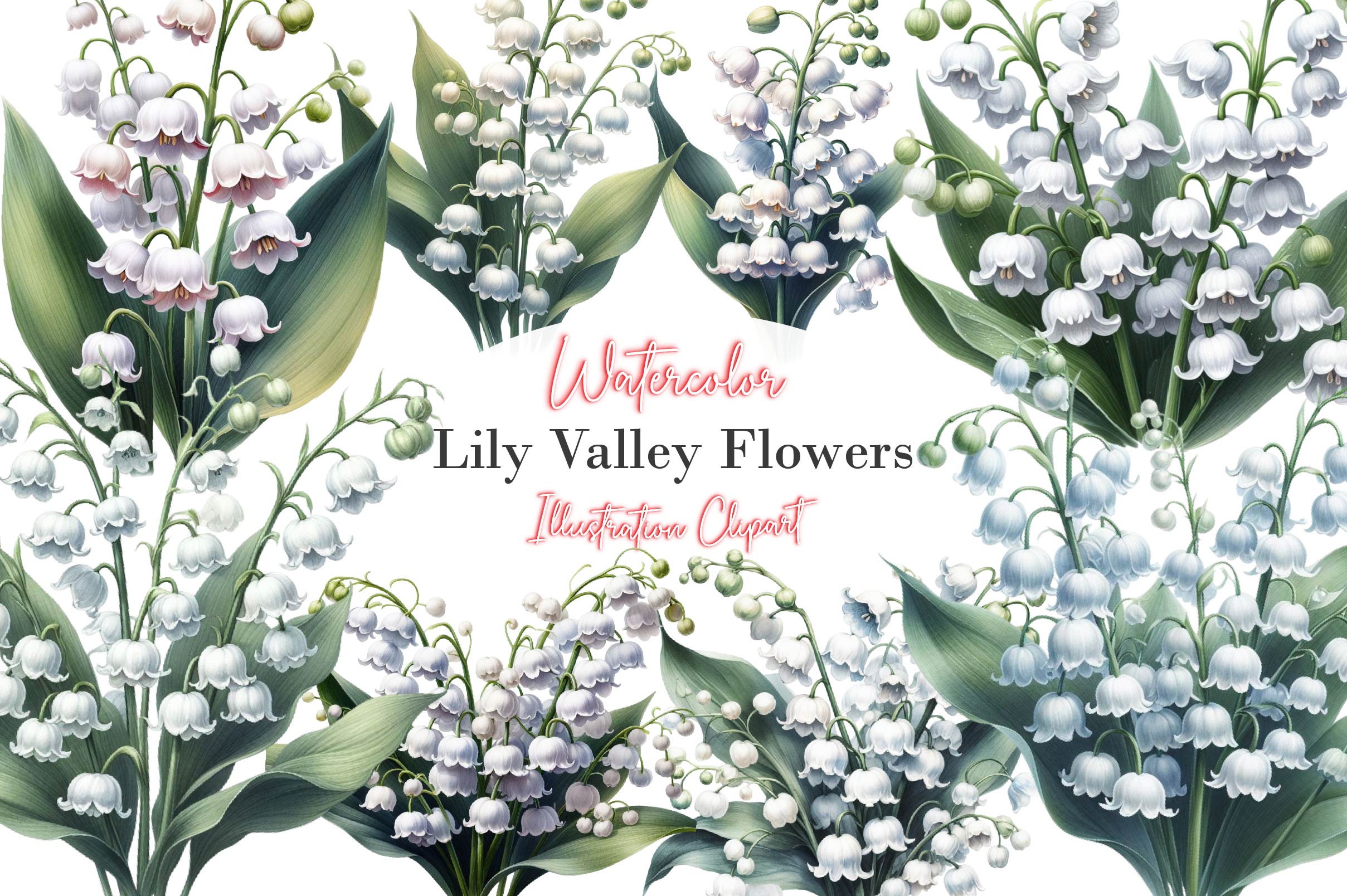Lily Of The Valley Flowers Clipart Bundle