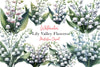 Lily Of The Valley Flowers Clipart Bundle