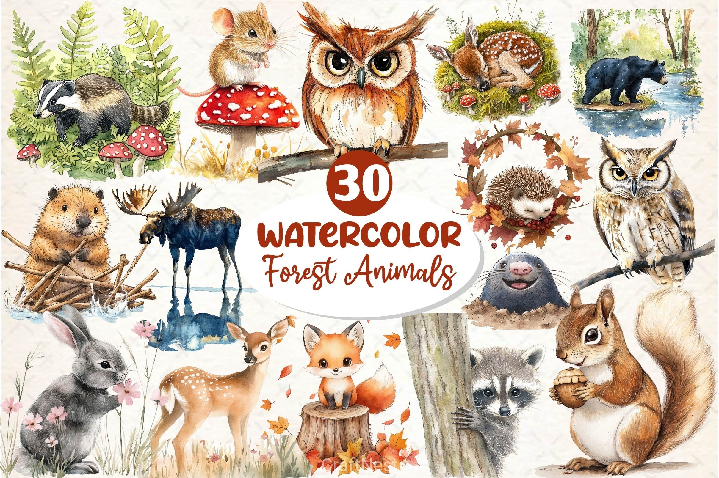 Woodland Forest Animals Clipart Bundle 7