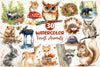 Woodland Forest Animals Clipart Bundle 7