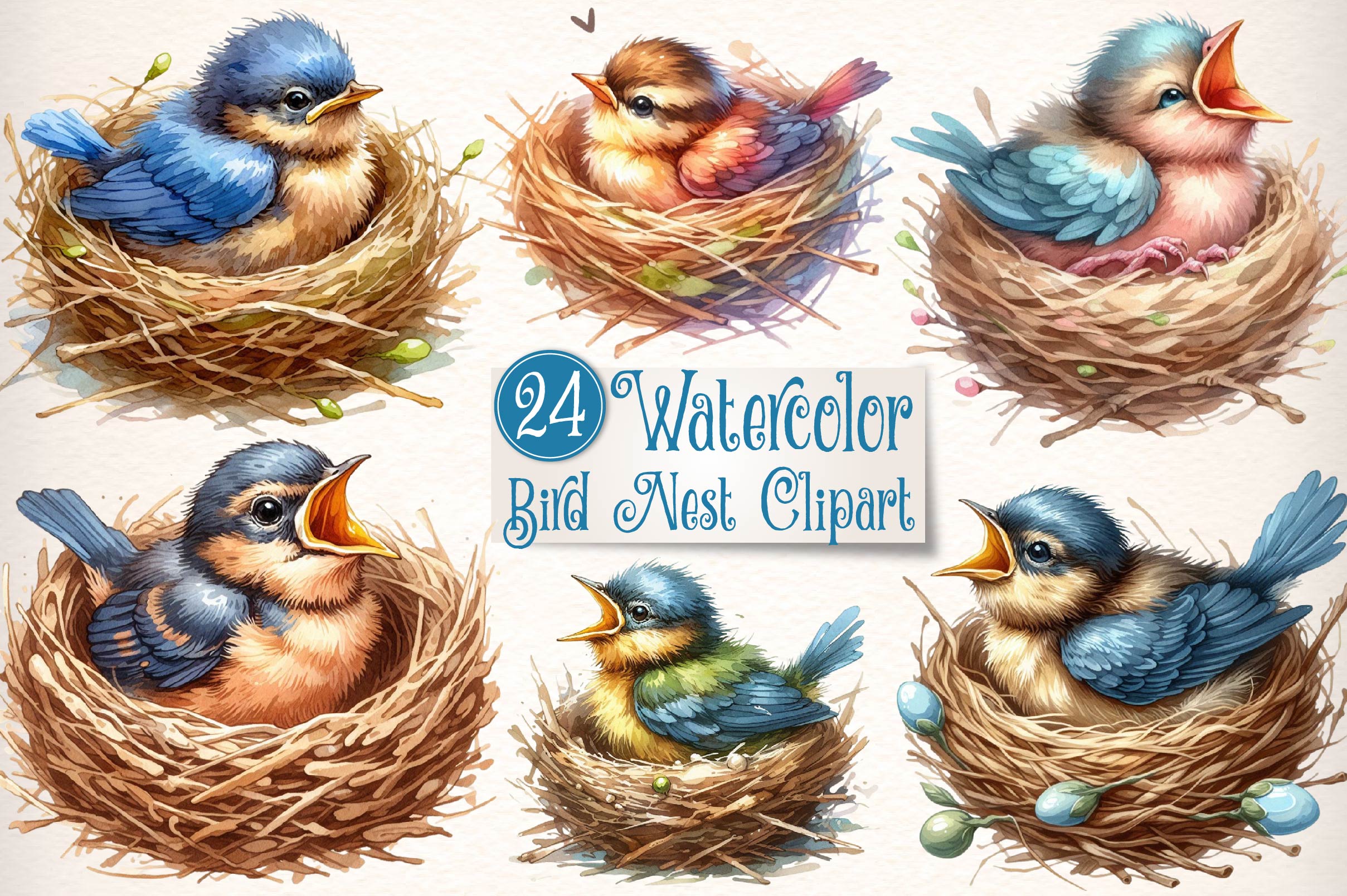 Bird Nest Clipart Bundle 1