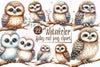 Baby Owl Clipart Bundle
