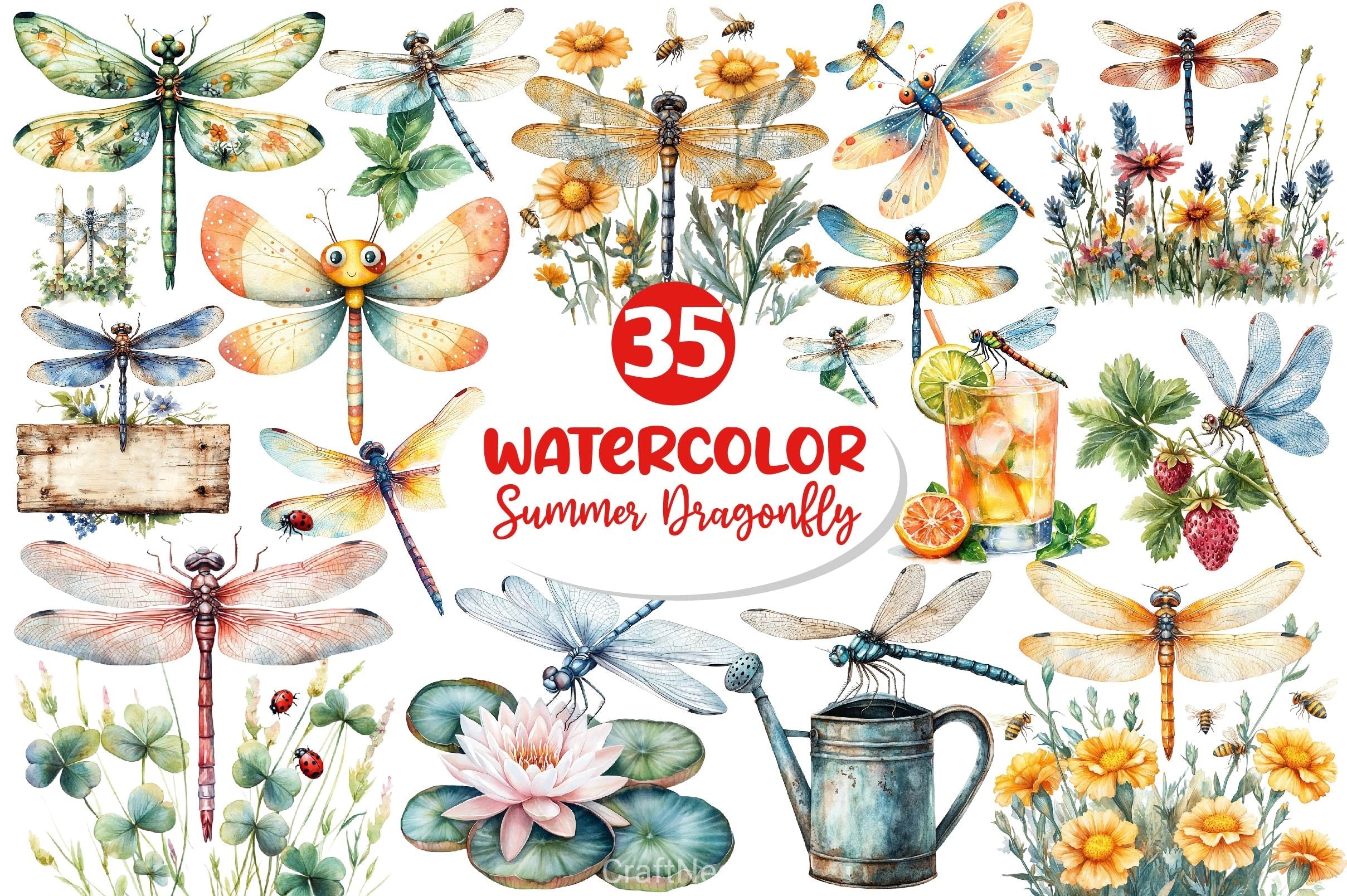 Summer Dragonfly Garden Clipart Bundle 2