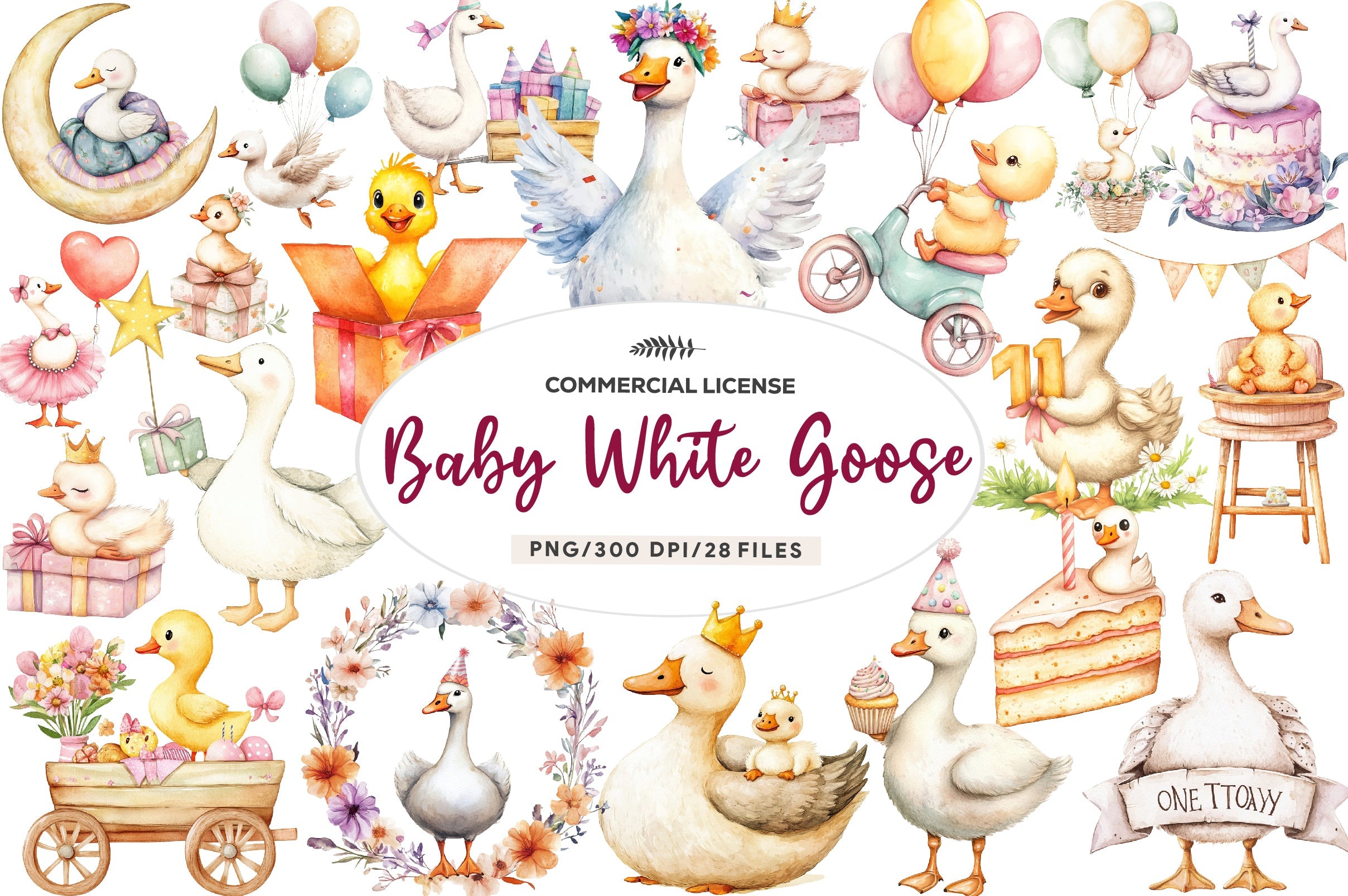 Baby White Goose Birthday Clipart Bundle