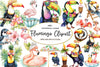 Tropical Toucan And Flamingo Summer Vibes Clipart Bundle