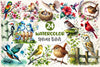 Spring Birds Clipart Bundle 4