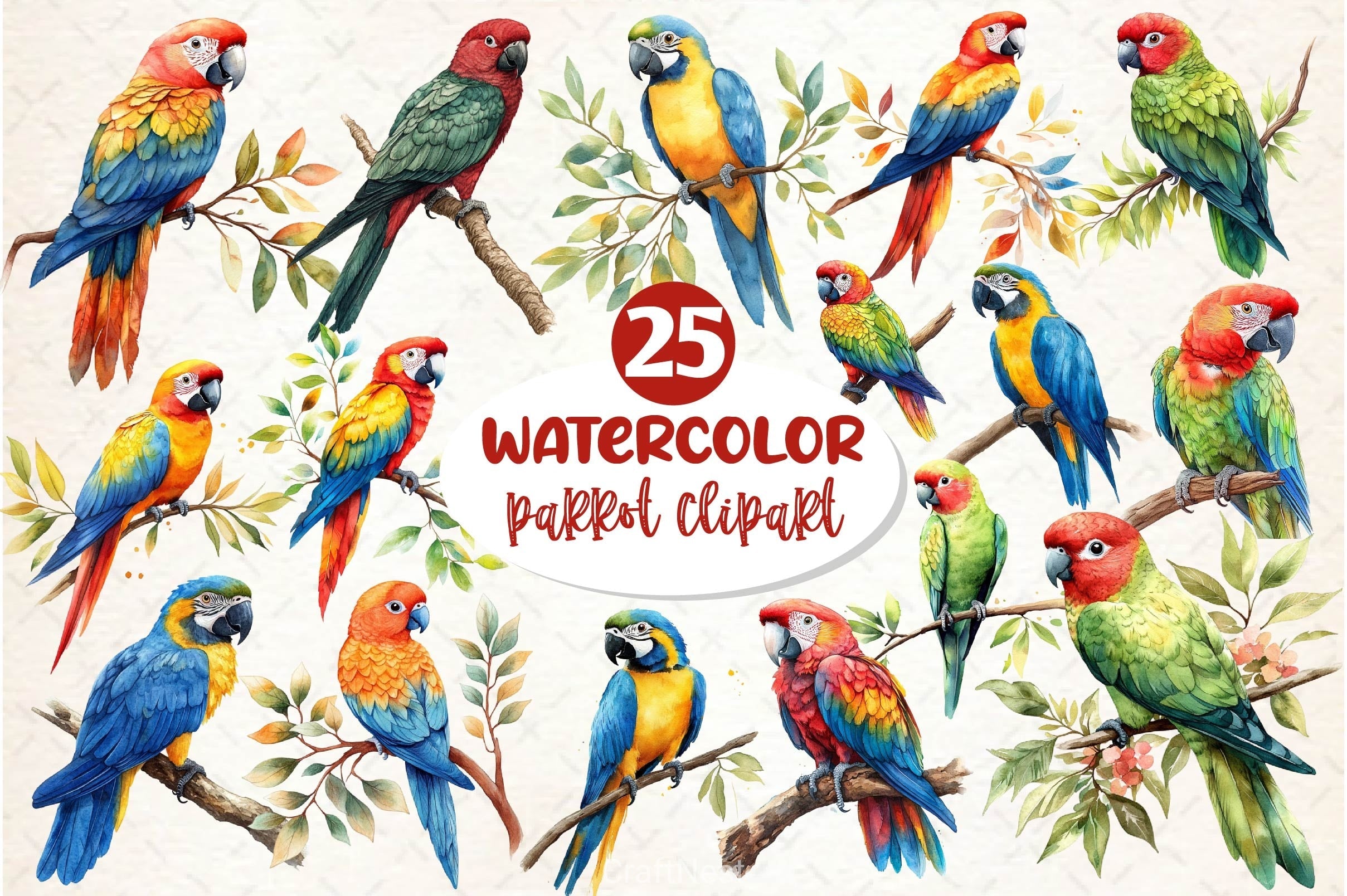 Parrot Clipart Bundle