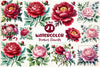 Peonies Flowers Clipart Bundle