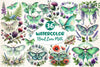 Botanical Floral Luna Moth Clipart Bundle
