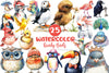 Cute Quirky Funny Birds Clipart Bundle