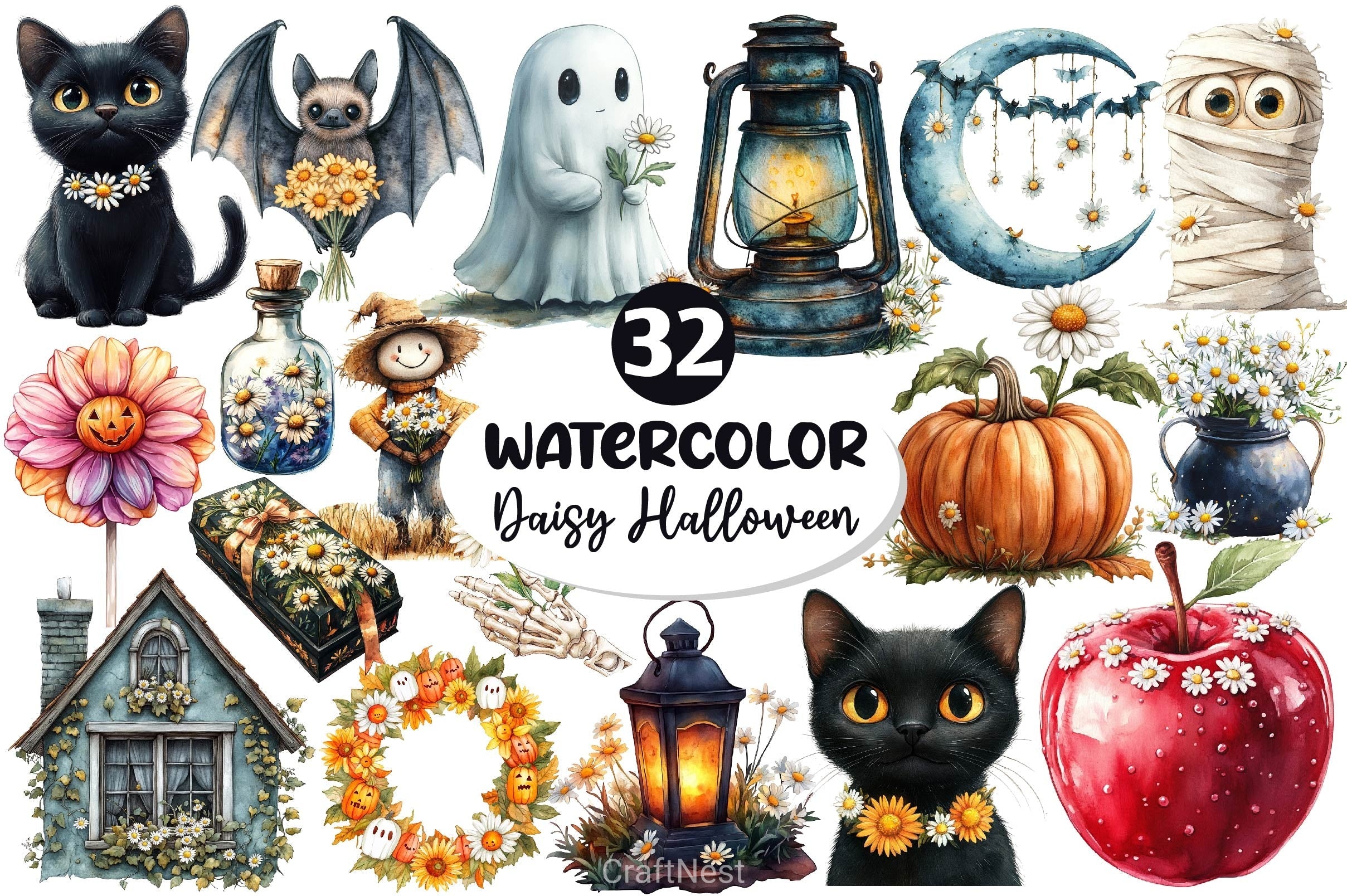 Daisy Flower & Halloween Clipart Bundle 2