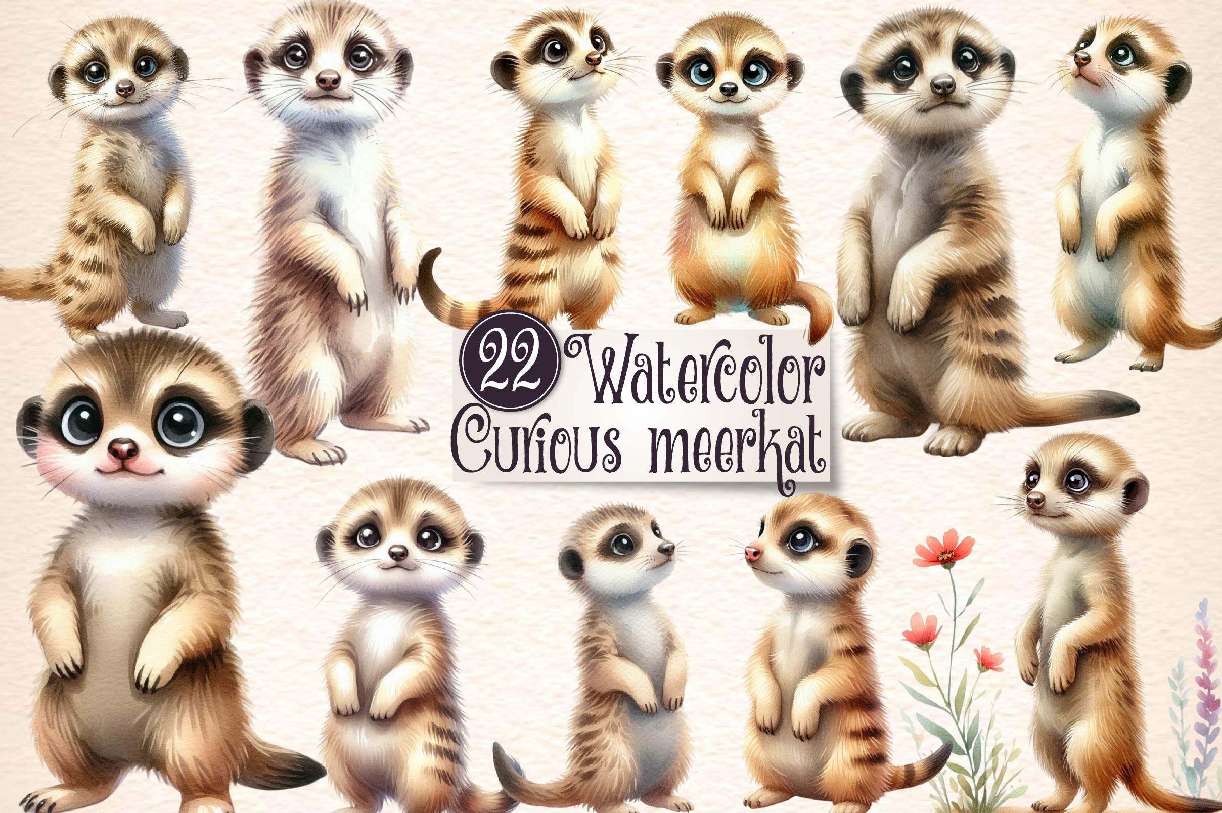 Curious Meerkat Clipart Bundle