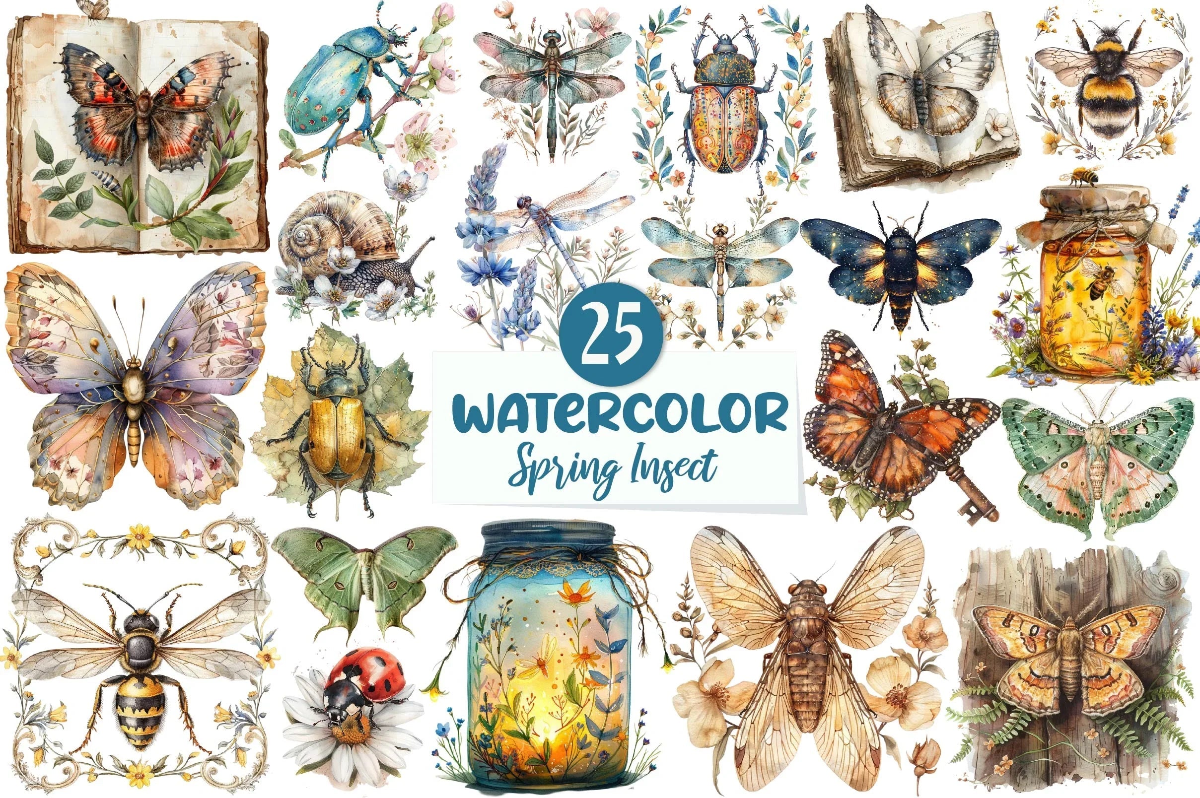 Spring Insects Drawing Vintage Spring Insect Clipart Bundle
