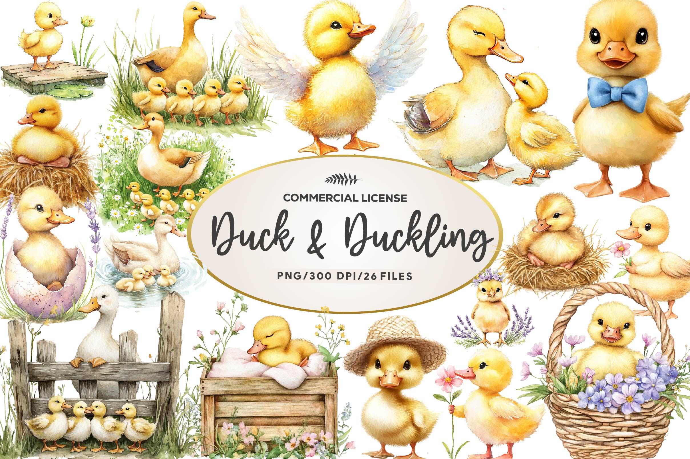 Duck & Duckling Clipart Bundle