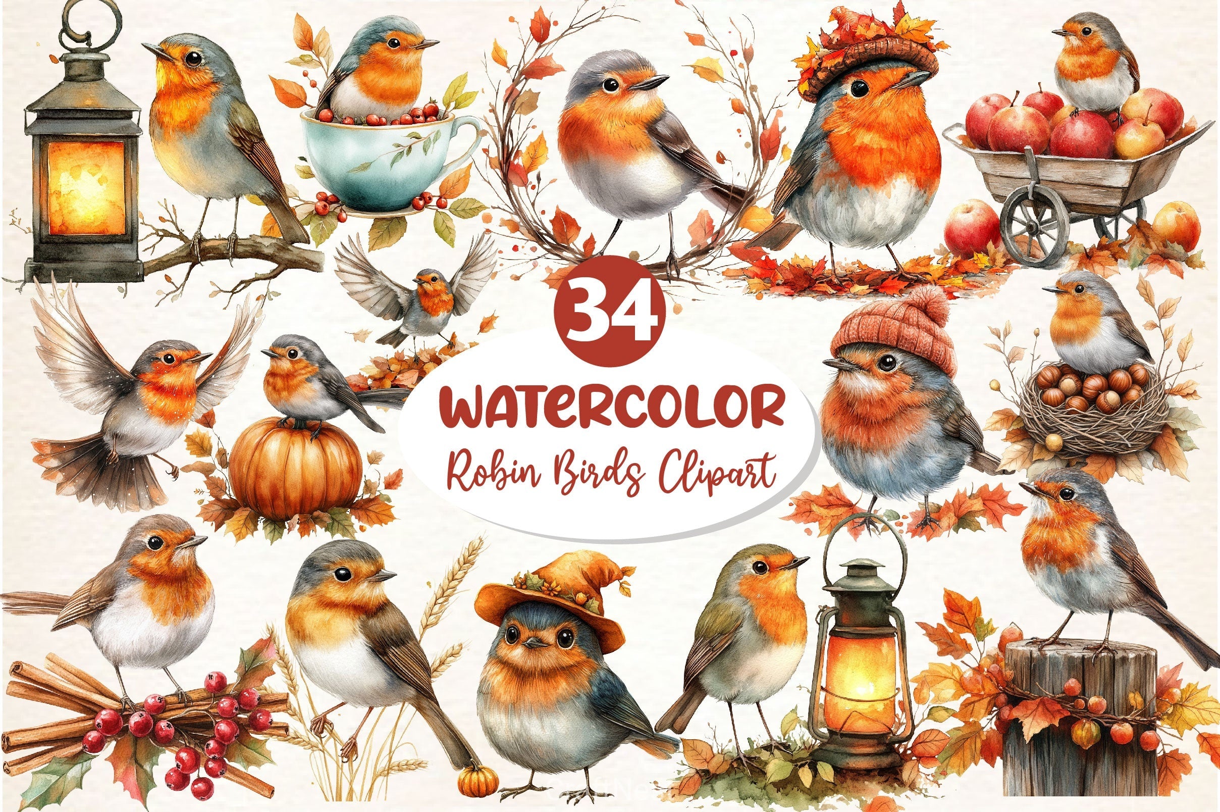 Robin Birds Clipart Bundle