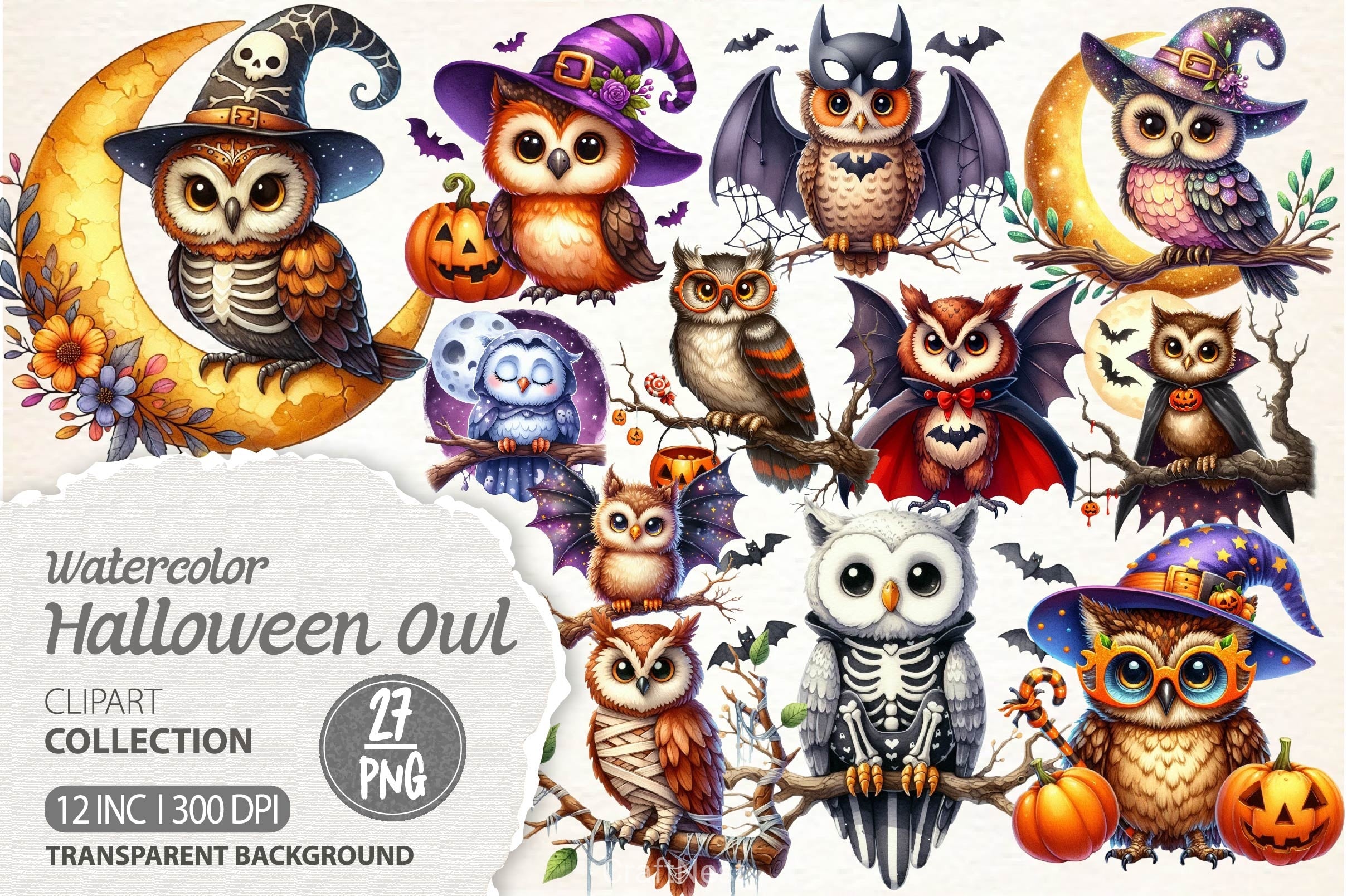 Halloween Owl Clipart Bundle 6