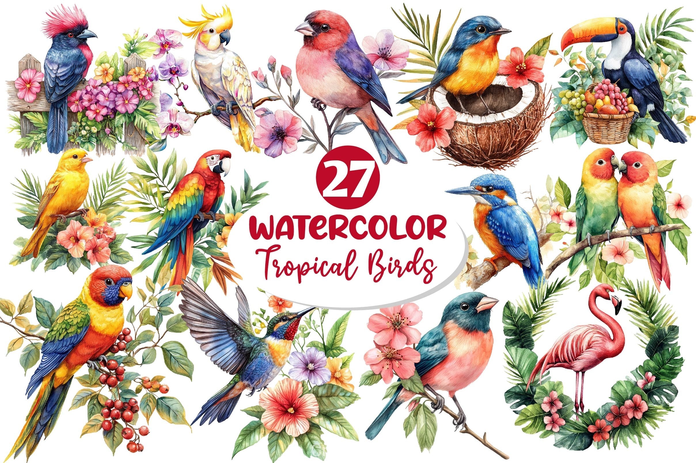 Tropical Birds Garden Clipart Bundle