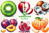 Fruit Clipart Bundle