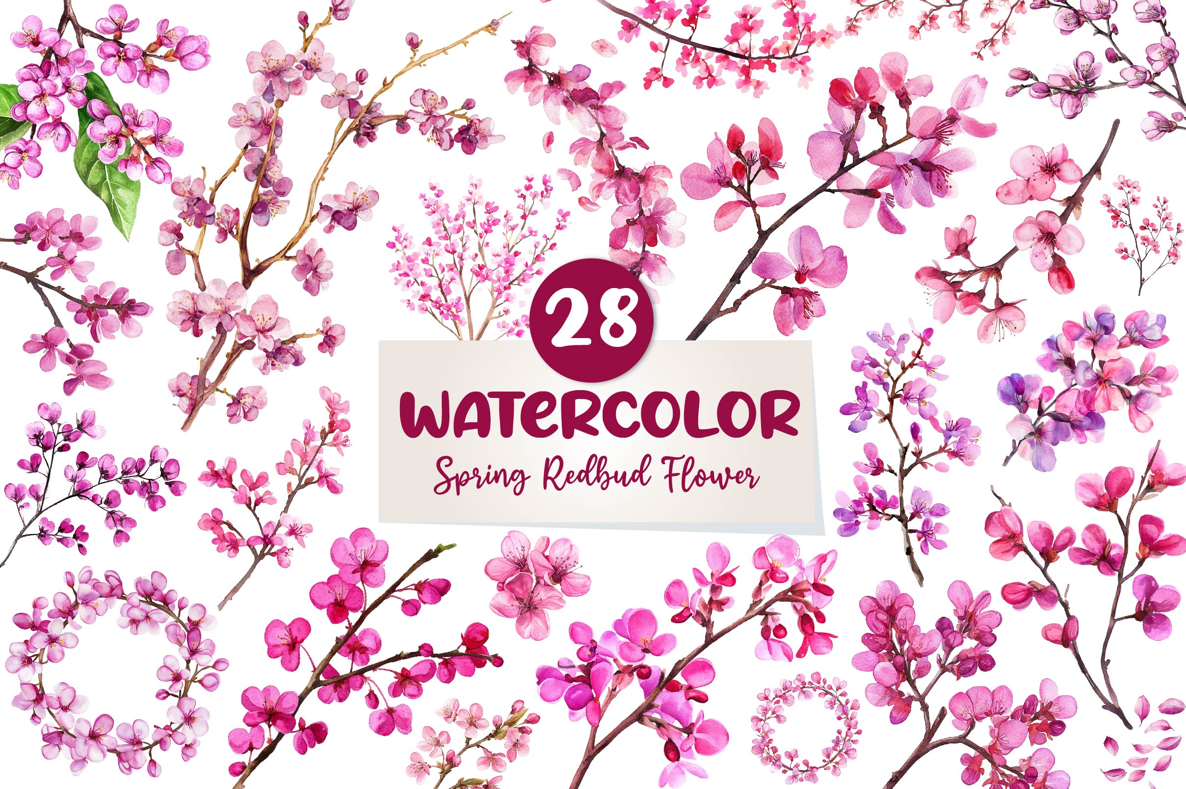 Spring Redbud Flower Clipart Bundle
