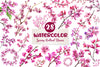 Spring Redbud Flower Clipart Bundle