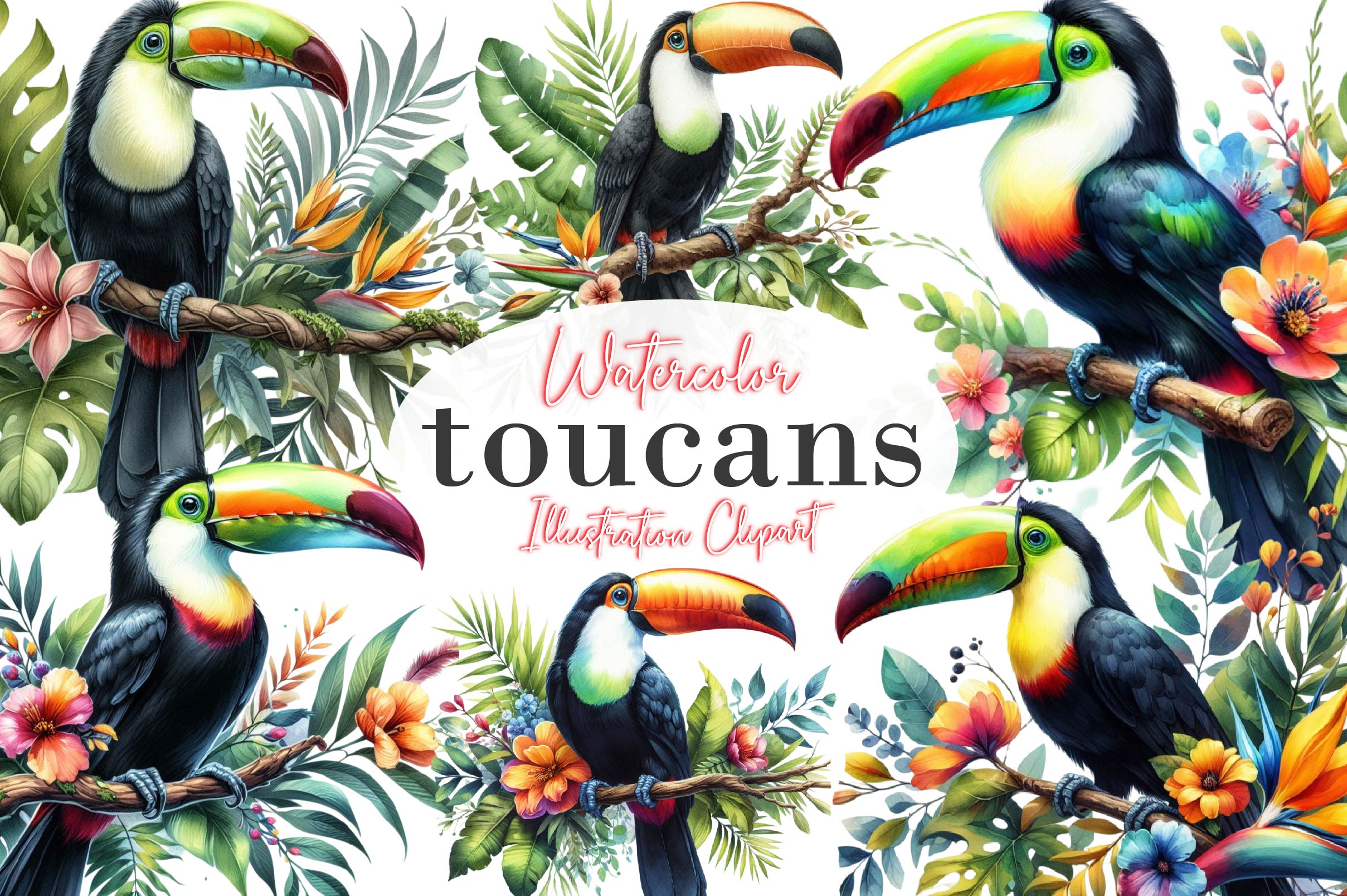 Toucans Clipart Bundle