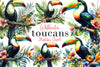 Toucans Clipart Bundle