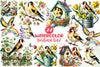 Spring Goldfinch Bird Clipart Bundle