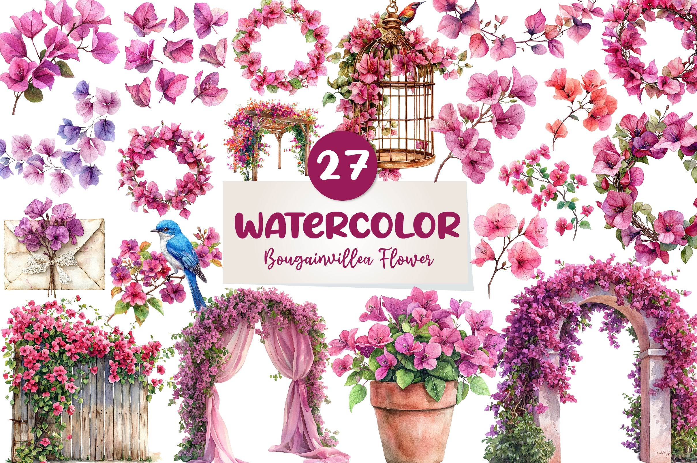 Bougainvillea Flower Clipart Bundle