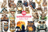 Safari Owl Clipart Bundle