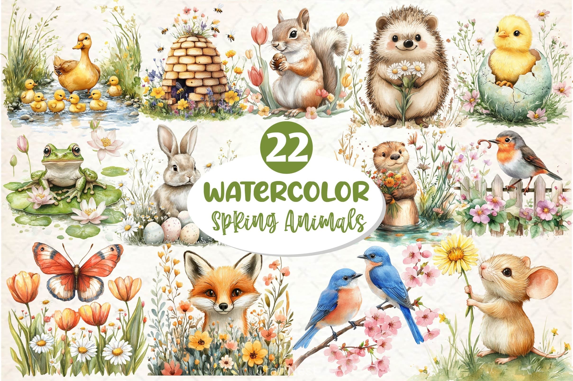 Spring Animals Clipart Bundle 2