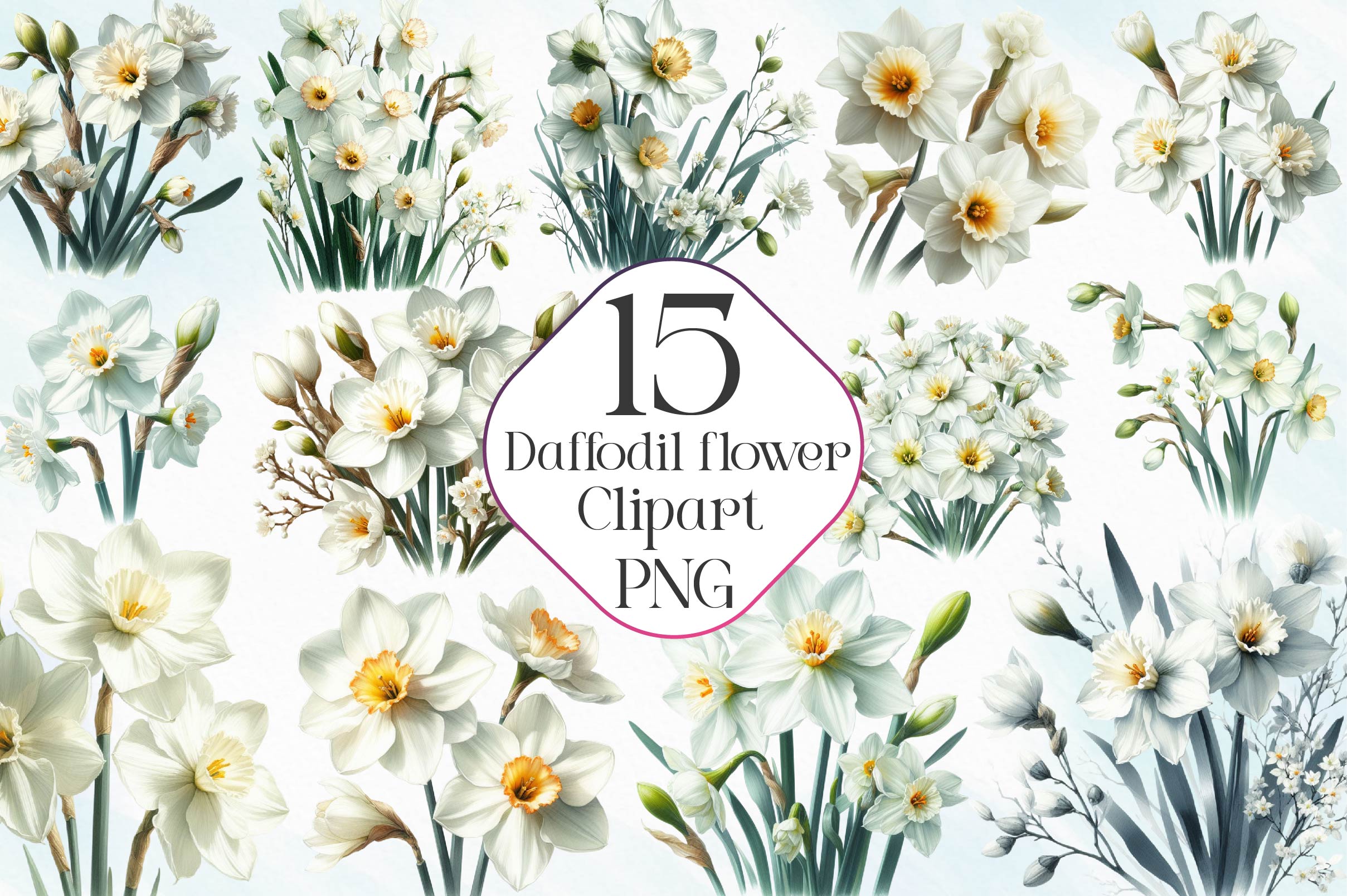 Daffodil Flower Clipart Bundle